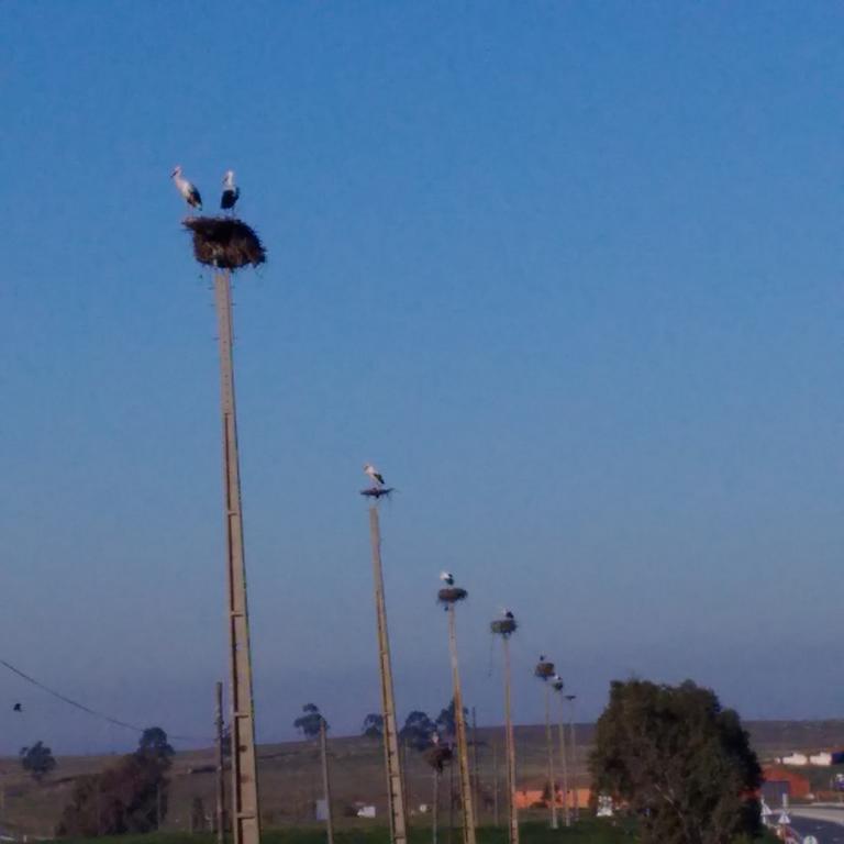Abetarda Cc Villa São Marcos da Ataboeira Buitenkant foto