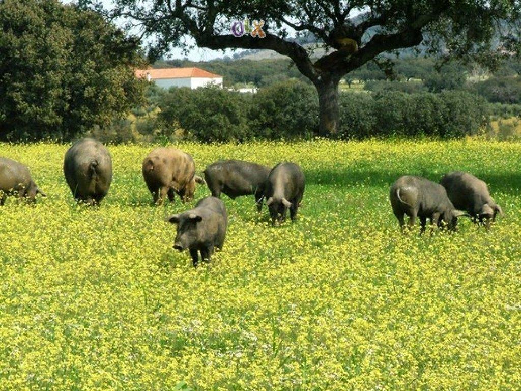 Abetarda Cc Villa São Marcos da Ataboeira Buitenkant foto