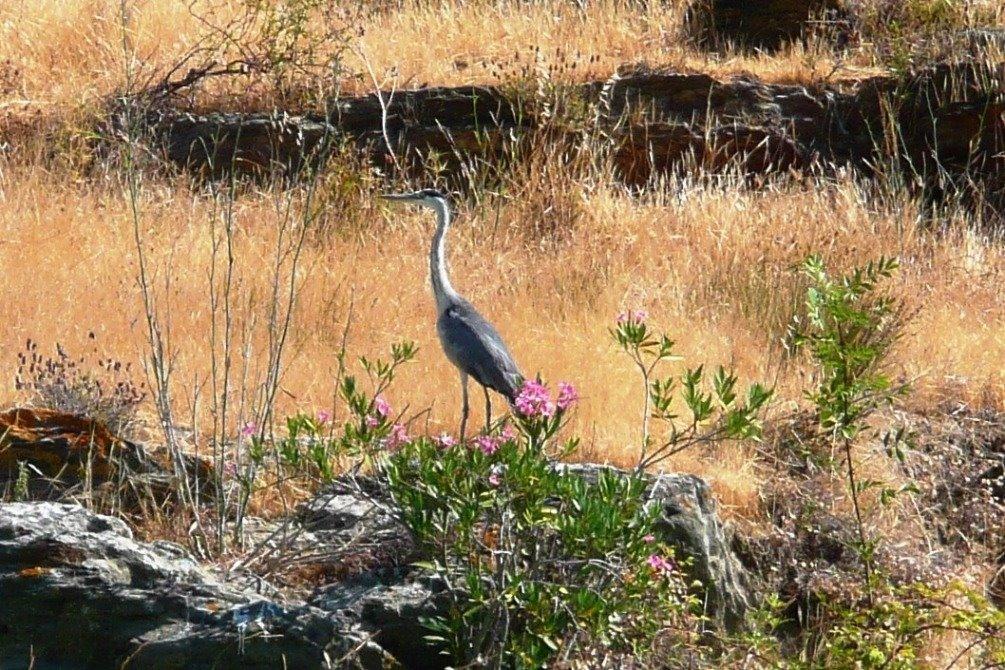 Abetarda Cc Villa São Marcos da Ataboeira Buitenkant foto